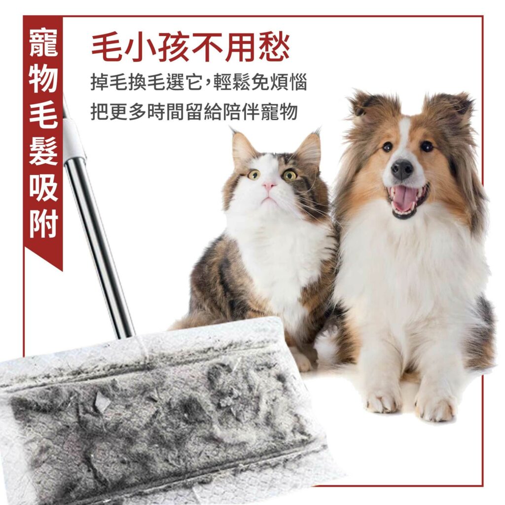 毛小孩不用愁,掉毛換毛選它,輕鬆免煩惱,把更多時間留給陪伴寵物